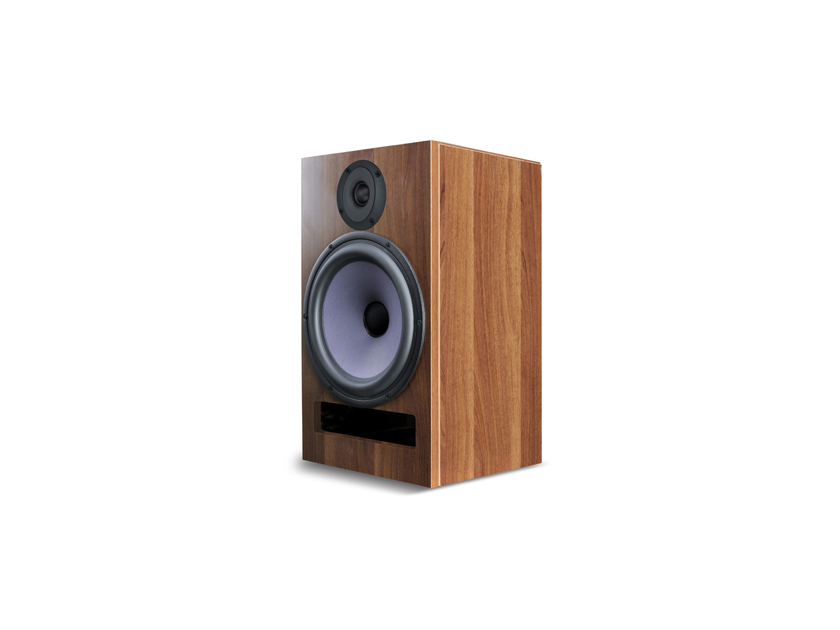differential technology A25 2 way Monitor Speaker