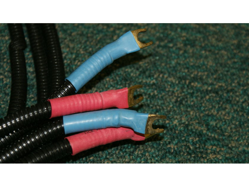 Tice Audio 416 TPT 8' Bi-Wire Speaker Cables - NICE!