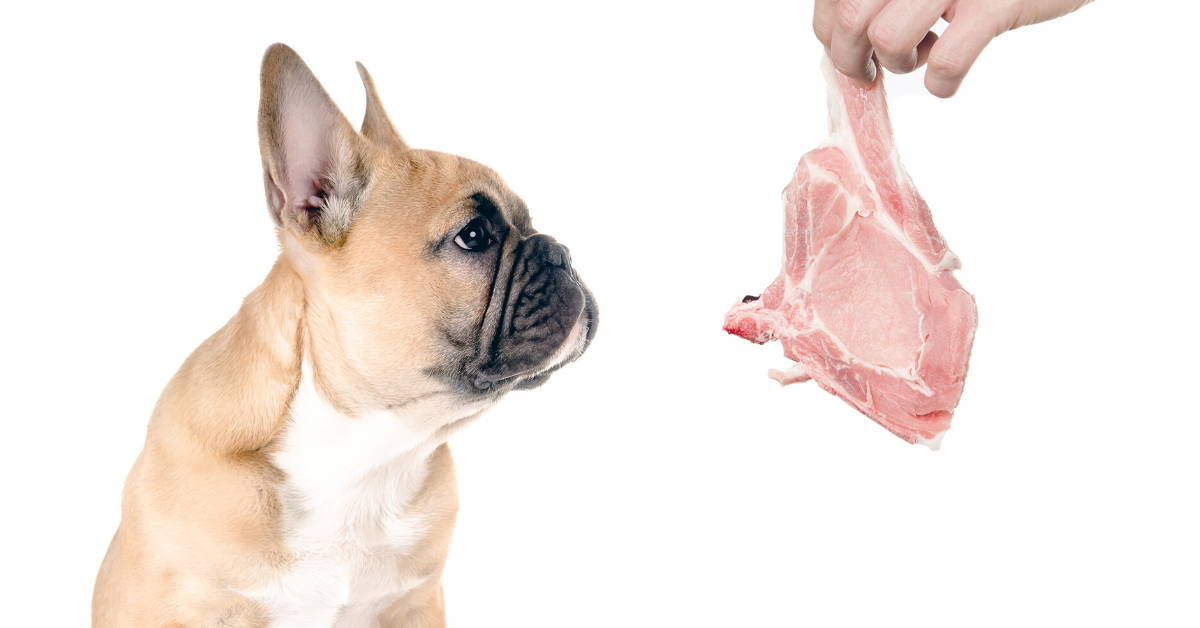 good diet make frenchies live longer