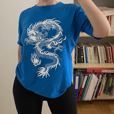 Blue shirt with dragon print