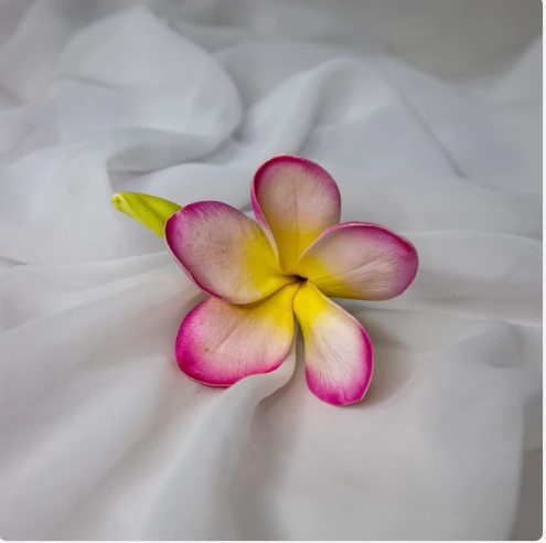 Light Pink with Buds Frangipani Flowerhead (6 Pack) - Realistic Artificial Flowers - Image 3