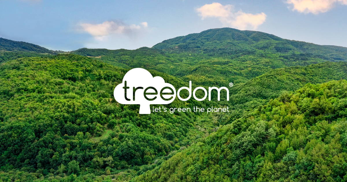 Check out Treedom, 3bee and Team Climate – three climate tech B2C start-ups helping people get easily involved in environmental projects.