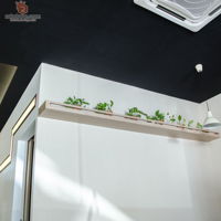 zact-design-build-associate-modern-malaysia-selangor-others-restaurant-interior-design