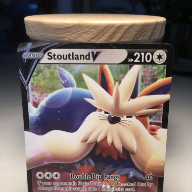 Pokemon Karte Stoutland V 210 Engl.