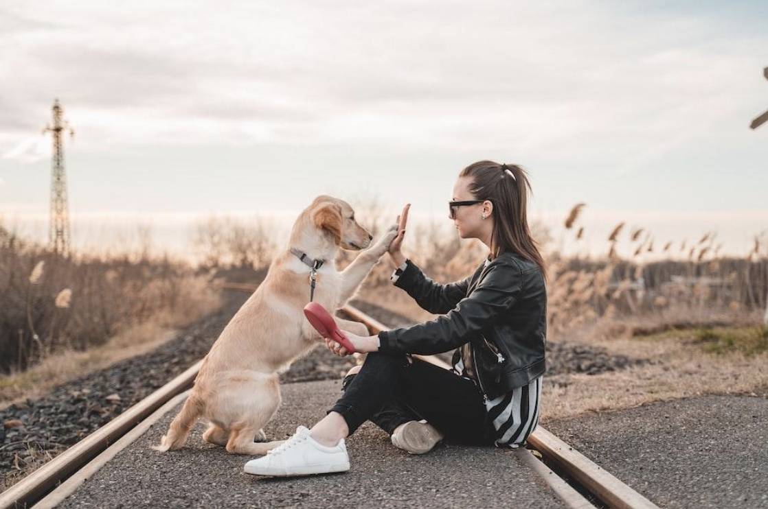 How to Start Getting in Shape with Your Dog 