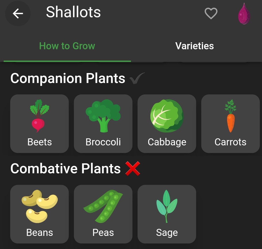 Screenshot of shallots companion plants and combative plants in Planter