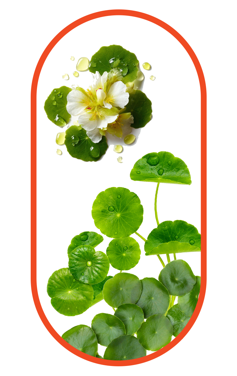 Vitamin D3 as an ingredient of nano singapore's K2 Vitamin with D3 Bone and Heart Health Supplement