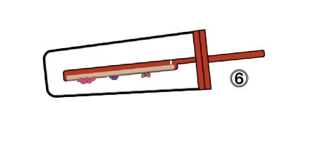 Schema of the red tester with formed colonies on the side