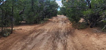 Cedro Hard ADV Route 1  near Tijeras, NM