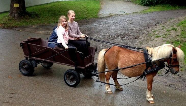 famielien reitschule lembeck dronsberg