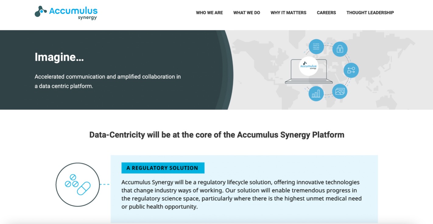 Accumulus Synergy product / service