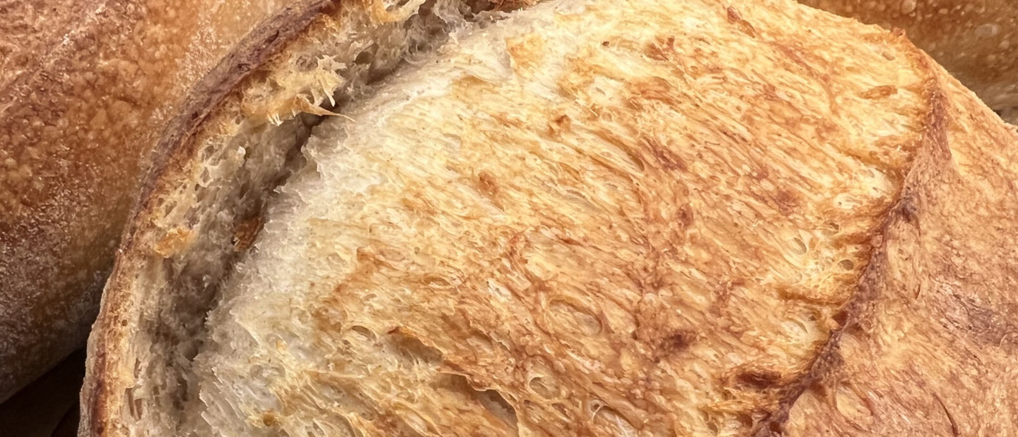 Arisen Bread Co. | Organic Sourdough | Briquelle — photo from hotplate.com
