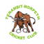 Tenambit Morpeth Cricket Club logo