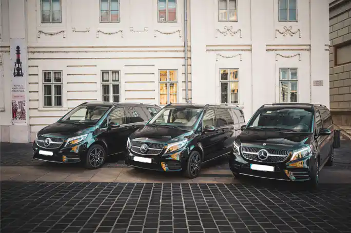 Private daily trip to the Hungarian heart of the Jewish heritage - Bodrogkeresztúr - with luxury MB V-Class