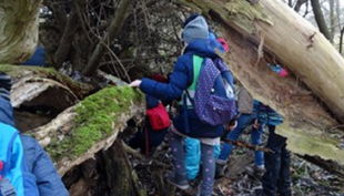 auwaldstation klettern