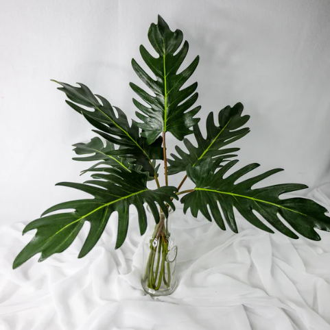 Large Xanadoo Leaf - Realistic Artificial Flowers and Greenery