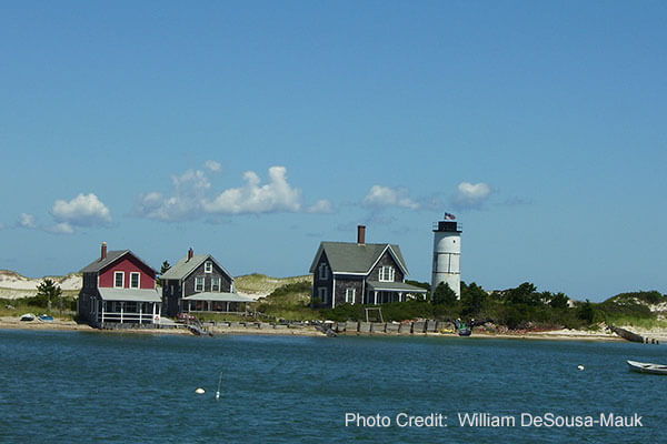 Sandy Neck Colony  on Remote Outer Reaches of Sandy Neck Barrier Beach