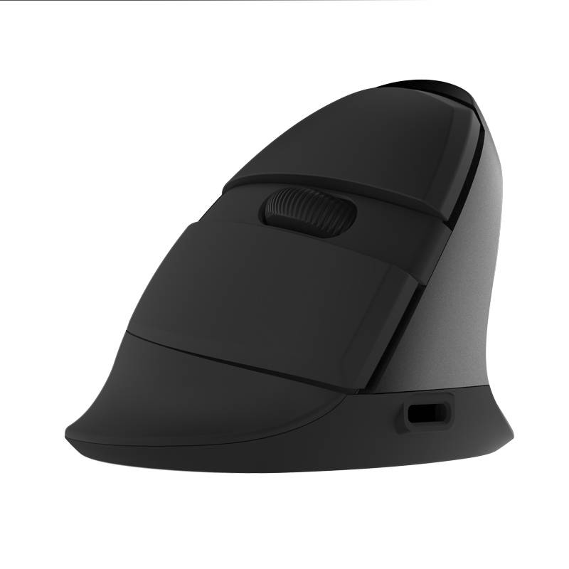 Delux Mini Vertical Ergonomic mouse