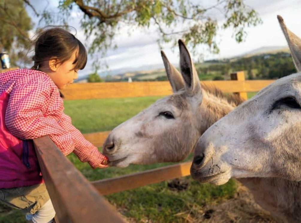 An Unforgettable View | Weekend Stay - 2 Nights