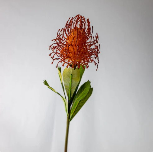 Burnt Orange Leucospermum - Realistic Artificial Flowers - Image 4