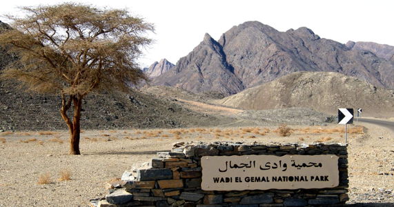 wadi-el-gemal-national-park