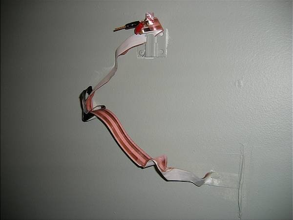 microthin spkr wire for rear channels