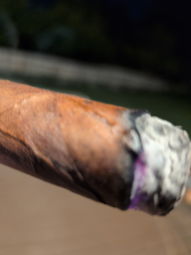 Cigar Session Photo