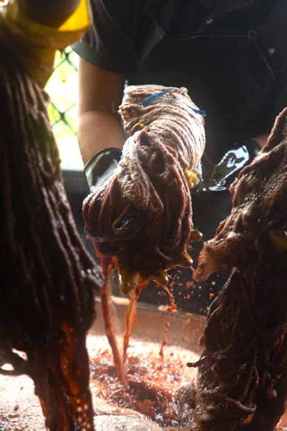 Wringing out natural dyes from fabric.
