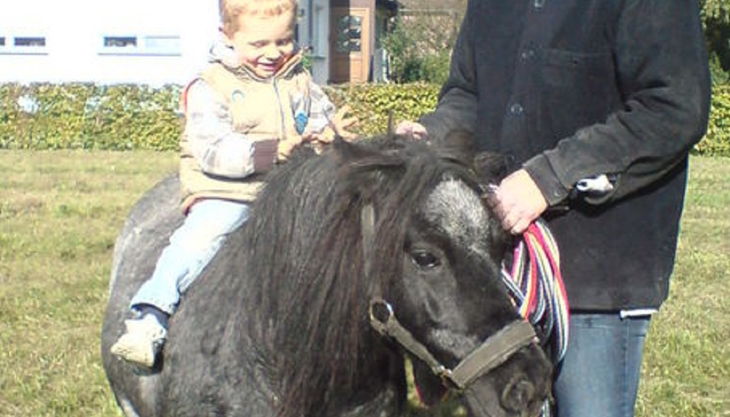 die reitzwerge kleinkind beim reiten