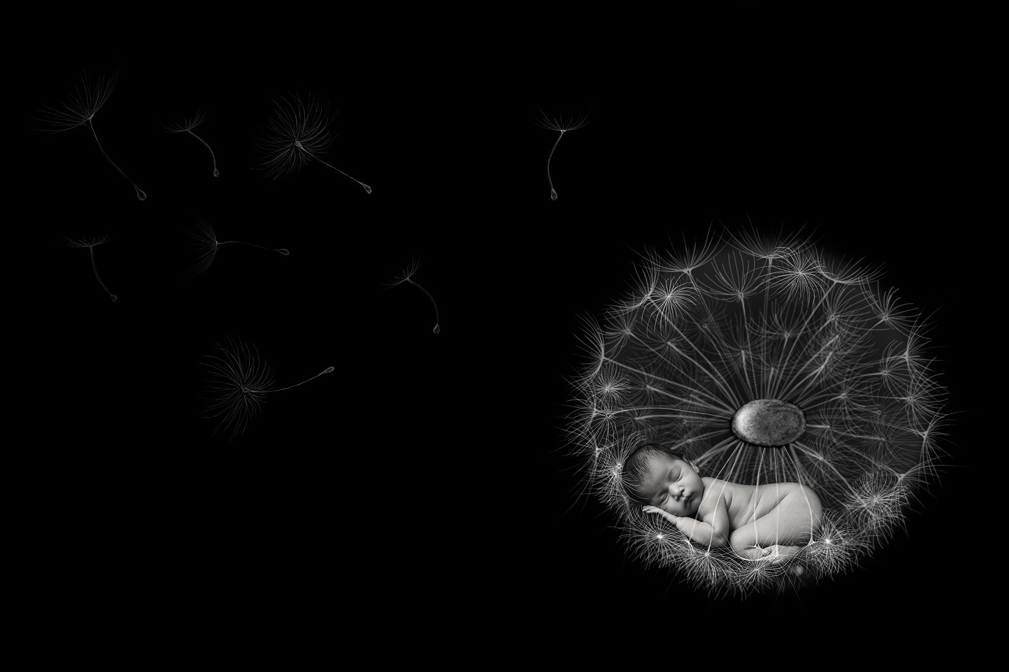 fine art editing in photoshop image by samantha leon