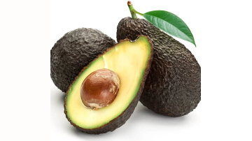 Main Content Image