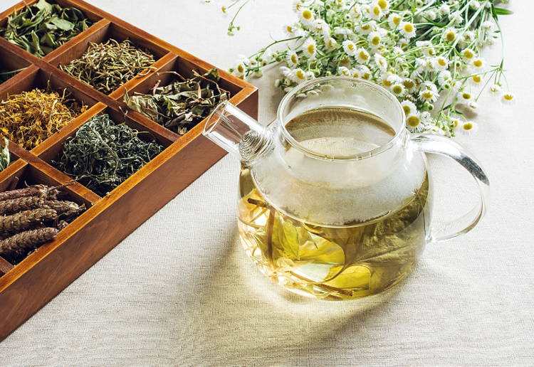 ドクダミ茶とは