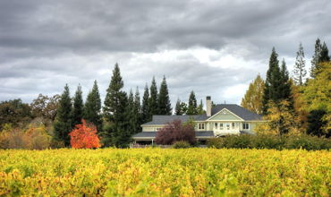 California Wine Country Motorcycle Tour