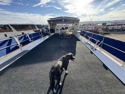 Boat Image 35