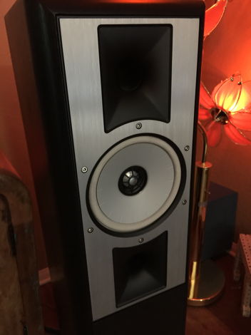 Thiel Audio  SCS4T  Floorstanding Speakers - SWEET!