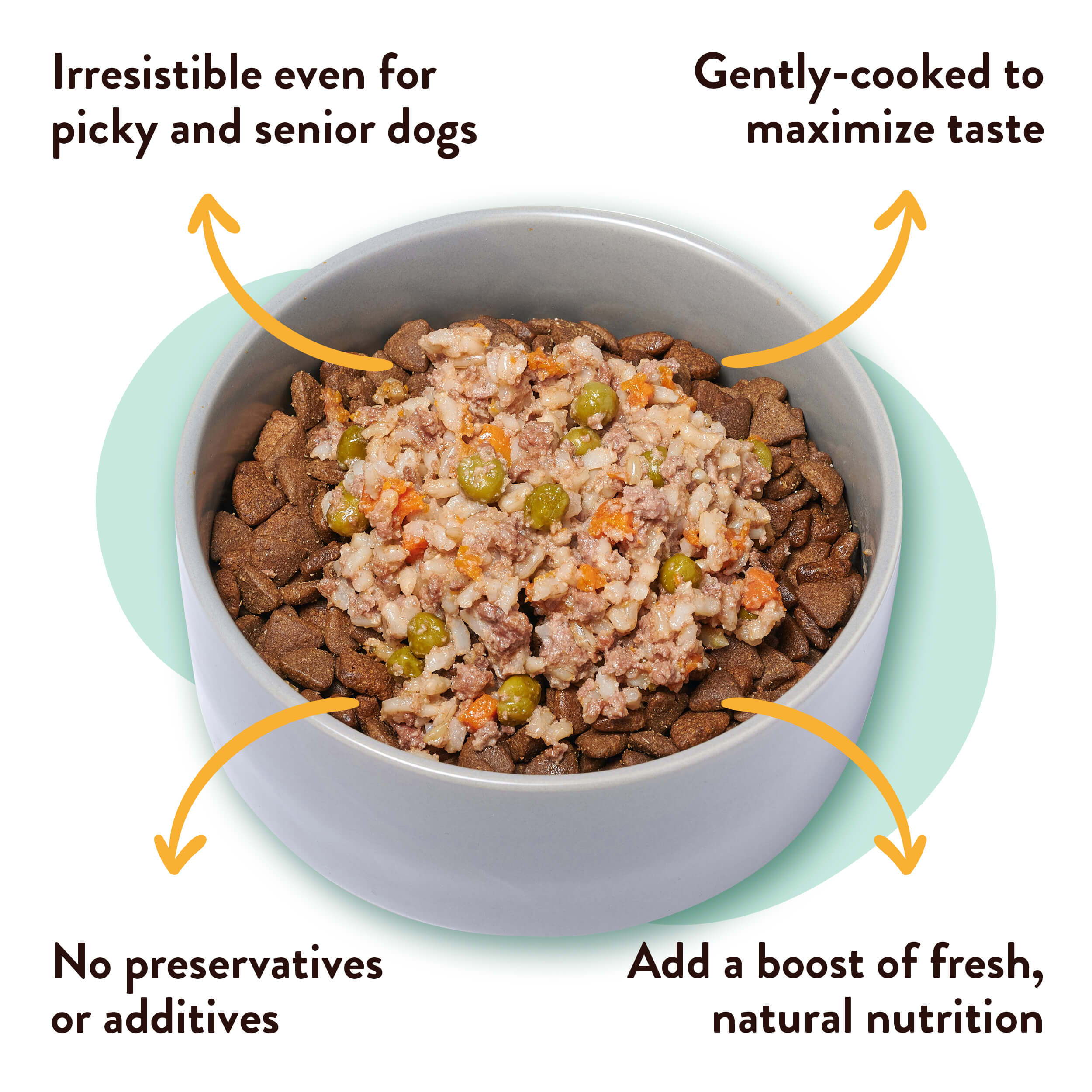 A bowl of Rosie's Beef N' Rice picky dog food