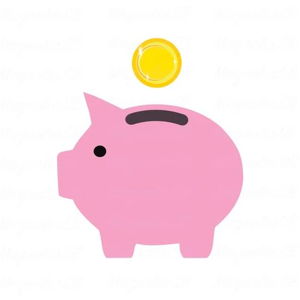 Contribute To Our Newlywed Fund!