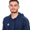 Remote Version Control Systems expert - Endrit R.