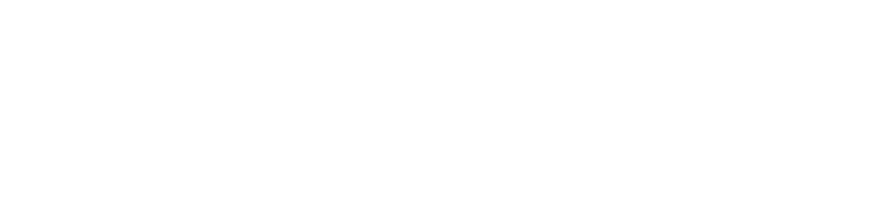 Valeria Bannikova P.A. Logo
