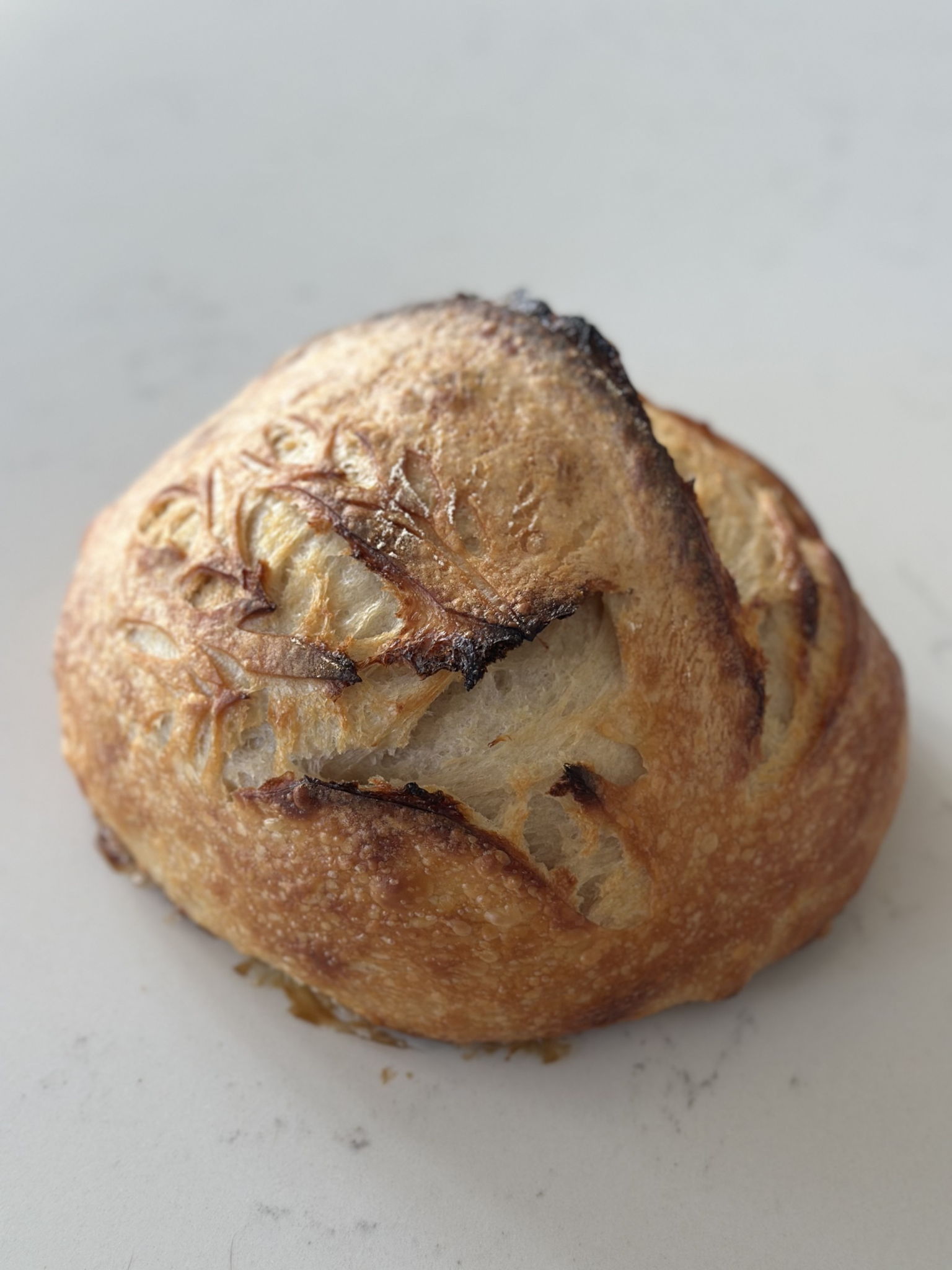 Mountainside Bakehouse — photo from hotplate.com