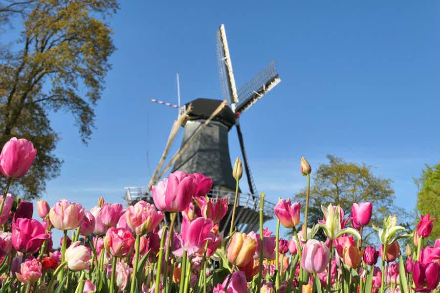 Amsterdam: Keukenhof Entry Ticket & Shuttle Bus - Flexible Return - photo 3