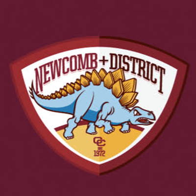 Newcomb & District Cricket Club Cricket Club Logo