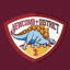Newcomb & District Cricket Club logo