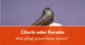 citurin graue haare