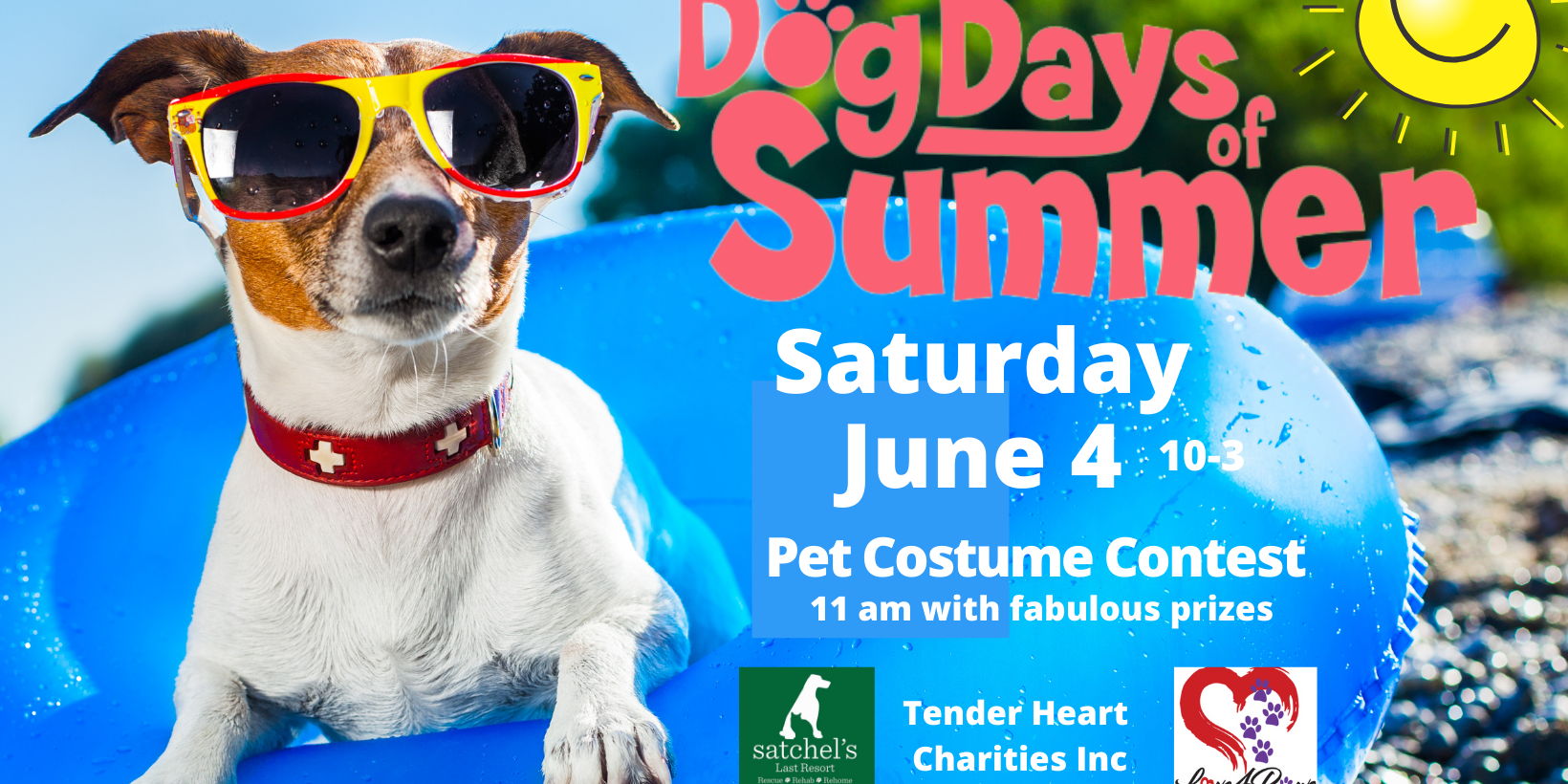 Dog Days of Summer promotional image
