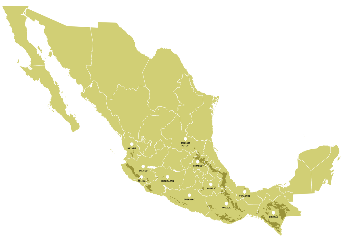 map from mexico with all coffee producing regions