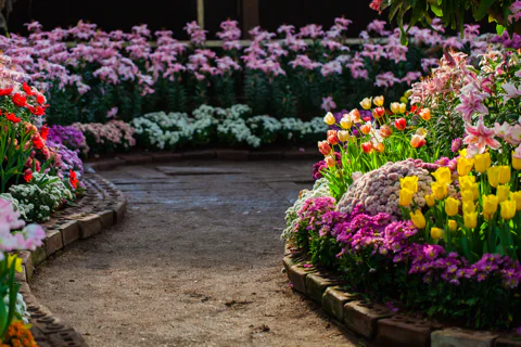 Flower bed with winding garden path