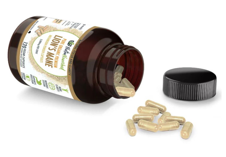 Lion's Mane Mushroom Hericium - Image 9