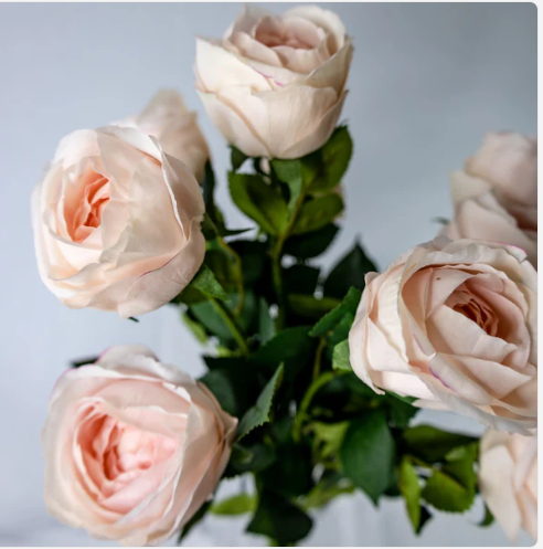Light Pink David Austin Real Touch Open Bud Rose - Realistic Artificial Flowers