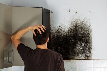 Simple But Effective Treatment of Mold Toxicity -